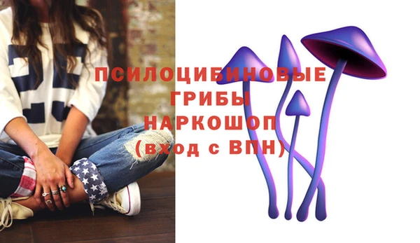 мескалин Аркадак