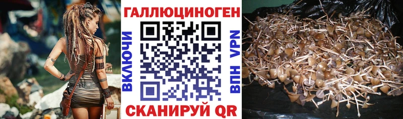 Псилоцибиновые грибы ЛСД  shop какой сайт  Фокино  hydra рабочий сайт 